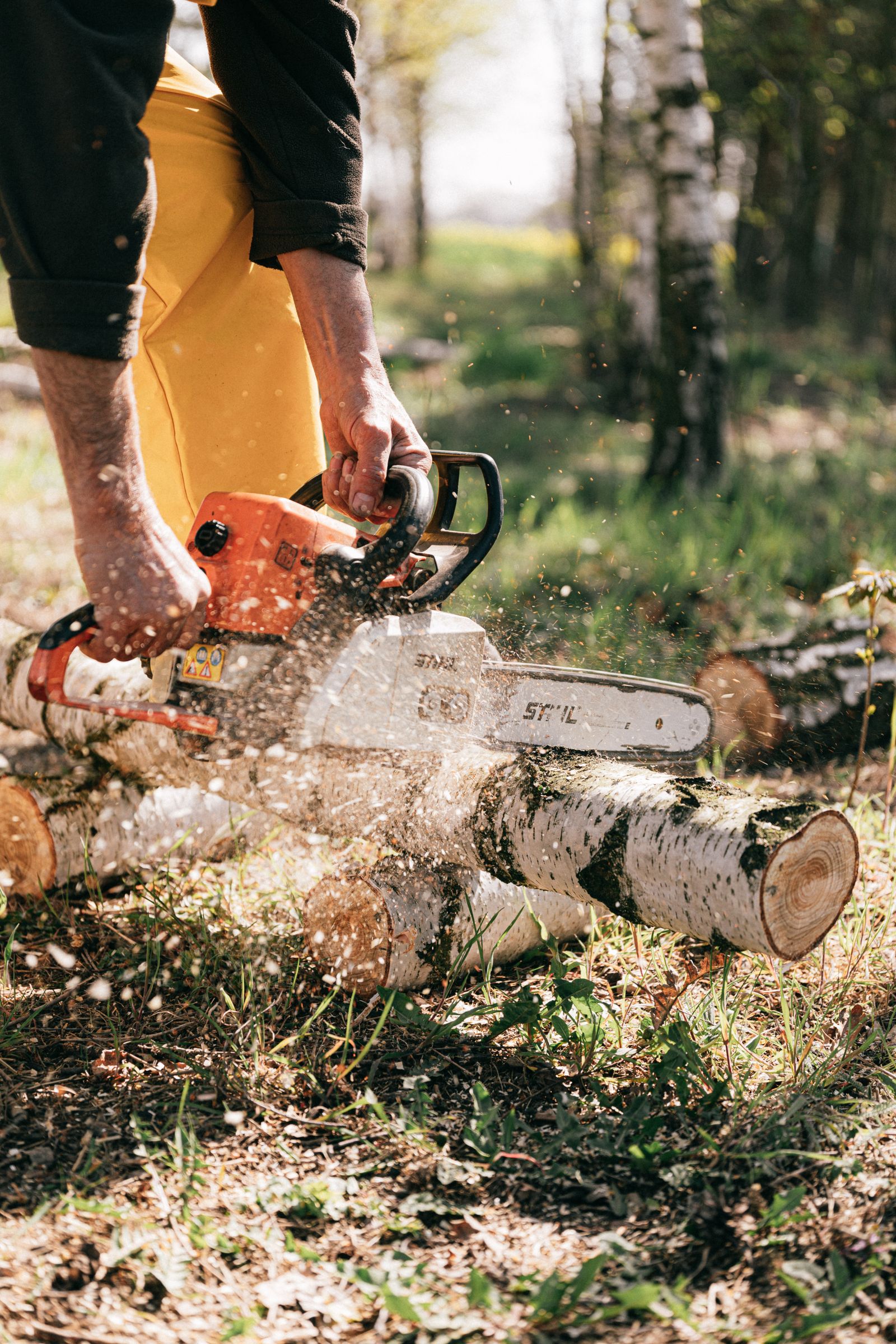 Understory clearing for a homesite