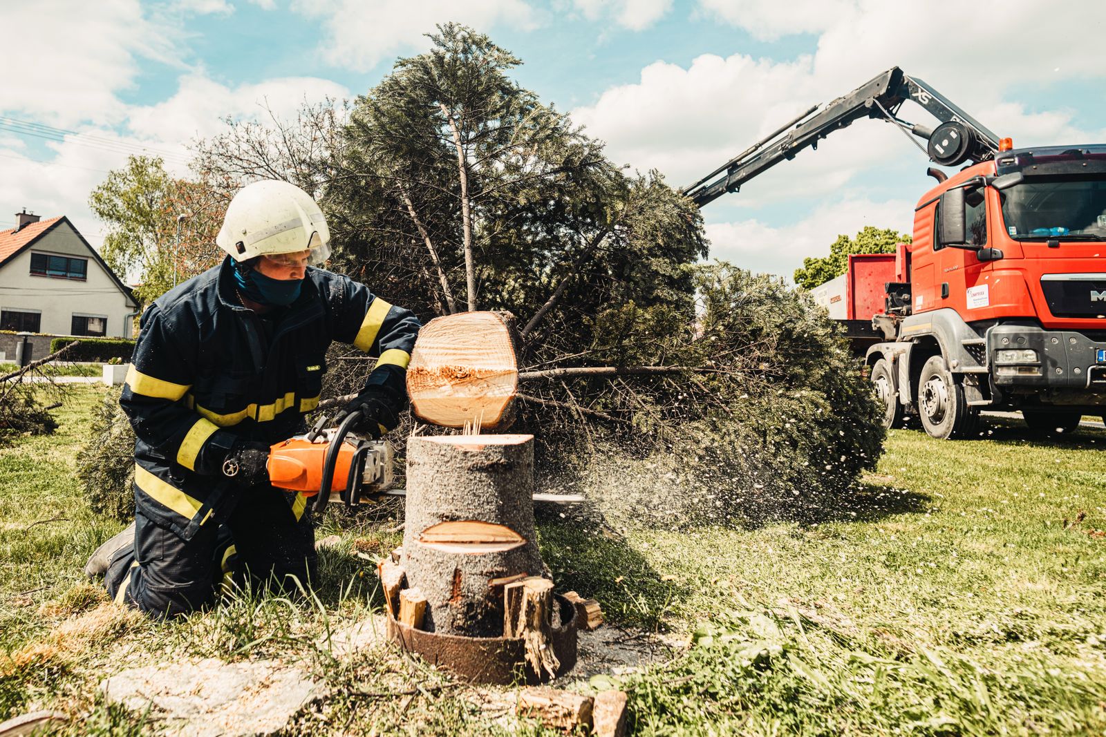 Tree Removal work in progress